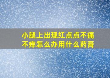 小腿上出现红点点不痛不痒怎么办用什么药膏