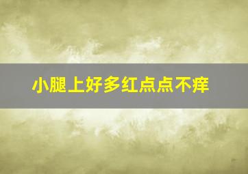 小腿上好多红点点不痒