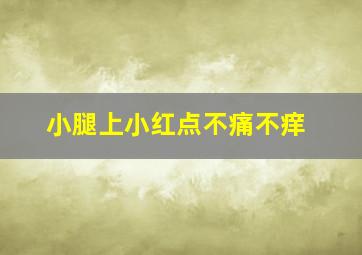 小腿上小红点不痛不痒