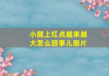 小腿上红点越来越大怎么回事儿图片