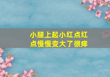 小腿上起小红点红点慢慢变大了很痒