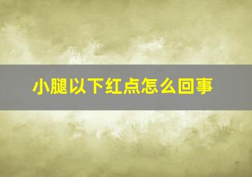 小腿以下红点怎么回事