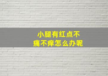 小腿有红点不痛不痒怎么办呢