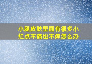 小腿皮肤里面有很多小红点不痛也不痒怎么办