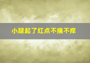 小腿起了红点不痛不痒