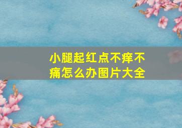 小腿起红点不痒不痛怎么办图片大全