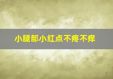 小腿部小红点不疼不痒