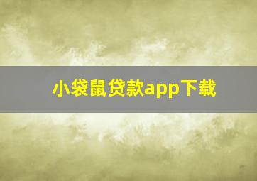 小袋鼠贷款app下载