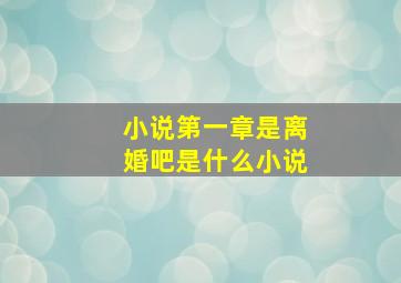 小说第一章是离婚吧是什么小说