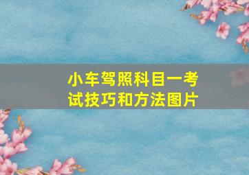 小车驾照科目一考试技巧和方法图片