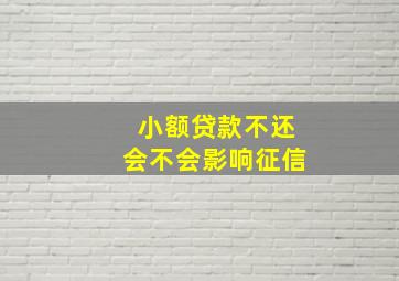 小额贷款不还会不会影响征信