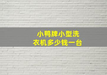 小鸭牌小型洗衣机多少钱一台