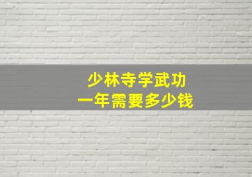 少林寺学武功一年需要多少钱