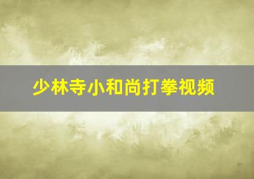 少林寺小和尚打拳视频