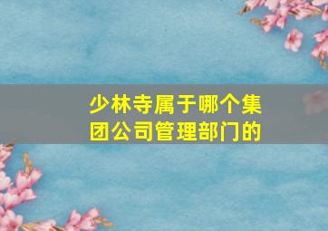 少林寺属于哪个集团公司管理部门的