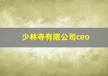 少林寺有限公司ceo