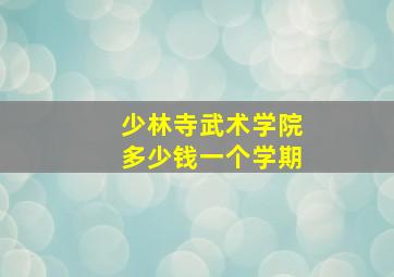 少林寺武术学院多少钱一个学期