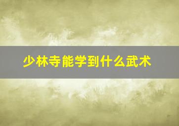 少林寺能学到什么武术