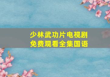 少林武功片电视剧免费观看全集国语