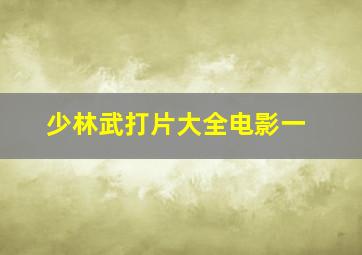 少林武打片大全电影一