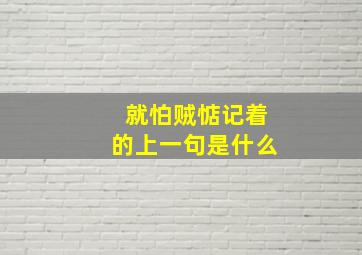 就怕贼惦记着的上一句是什么