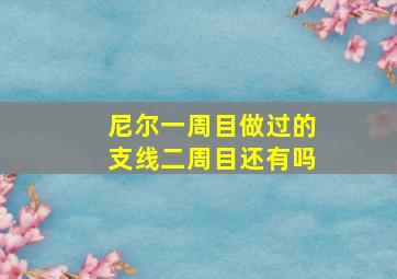 尼尔一周目做过的支线二周目还有吗