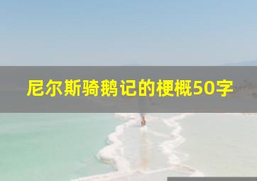 尼尔斯骑鹅记的梗概50字