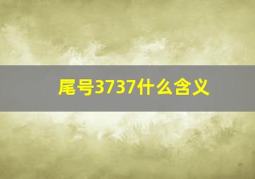 尾号3737什么含义