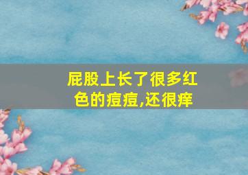 屁股上长了很多红色的痘痘,还很痒