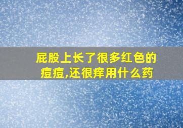 屁股上长了很多红色的痘痘,还很痒用什么药