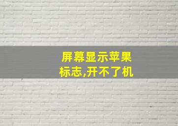 屏幕显示苹果标志,开不了机