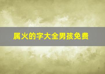 属火的字大全男孩免费