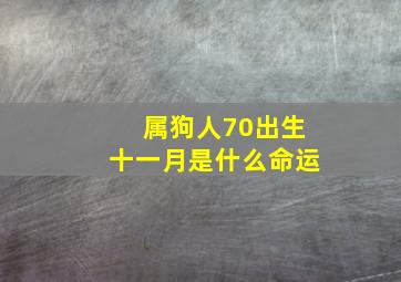 属狗人70出生十一月是什么命运