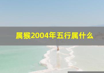 属猴2004年五行属什么