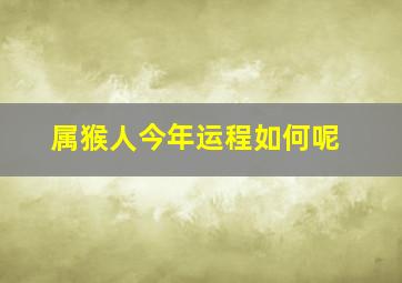 属猴人今年运程如何呢