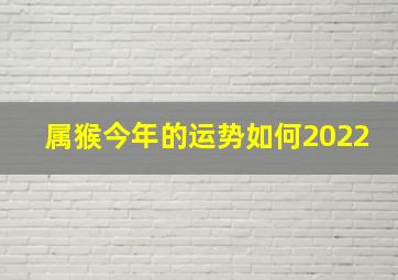 属猴今年的运势如何2022