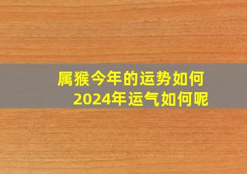 属猴今年的运势如何2024年运气如何呢