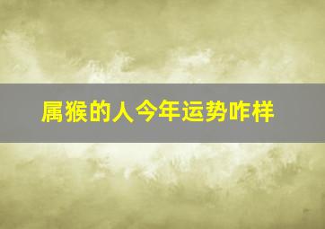 属猴的人今年运势咋样