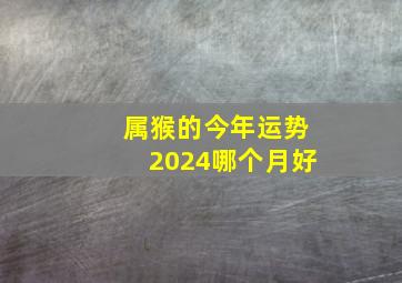 属猴的今年运势2024哪个月好