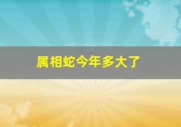 属相蛇今年多大了