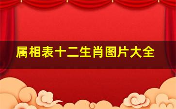 属相表十二生肖图片大全