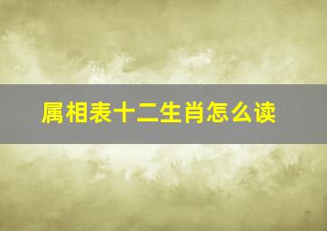 属相表十二生肖怎么读