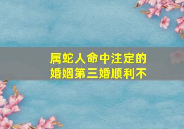 属蛇人命中注定的婚姻第三婚顺利不