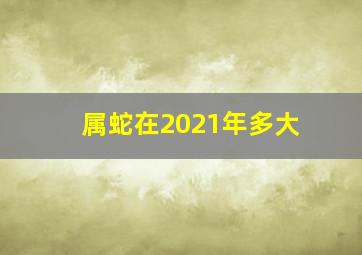 属蛇在2021年多大