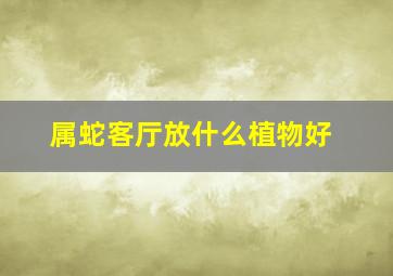 属蛇客厅放什么植物好