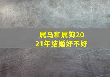 属马和属狗2021年结婚好不好