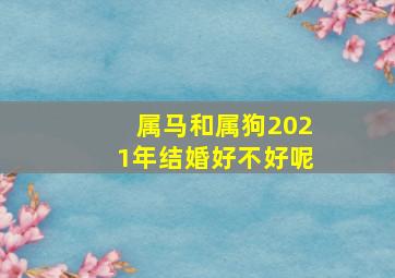 属马和属狗2021年结婚好不好呢