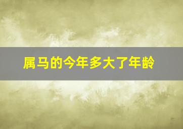 属马的今年多大了年龄