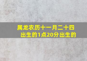 属龙农历十一月二十四出生的1点20分出生的