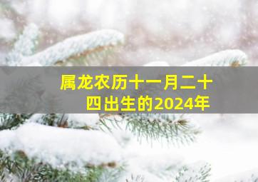 属龙农历十一月二十四出生的2024年